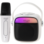 Adler Karaoke Speaker With Microphone , AD 1199W , Bluetooth , White , Portable , Wireless connection
