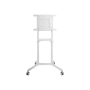 Neomounts Floor stand , NS-M1250WHITE TV trolley , Rotate, Tilt , 37-70 , Maximum weight (capacity) 70 kg , White