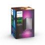 Philips Hue WCA Resonate Outdoor Wall Lantern, Inox , 8 W , 2000-6500 Hue White Colour Ambiance