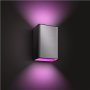 Philips Hue WCA Resonate Outdoor Wall Lantern, Inox , 8 W , 2000-6500 Hue White Colour Ambiance