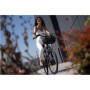 Lancia Incanto, City E-Bike, Motor power 250 W, Wheel size 26 , Warranty 24 month(s), Silver