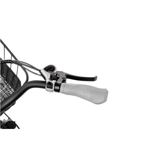 Lancia Incanto, City E-Bike, Motor power 250 W, Wheel size 26 , Warranty 24 month(s), Silver