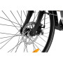 Lancia Incanto, City E-Bike, Motor power 250 W, Wheel size 26 , Warranty 24 month(s), Silver