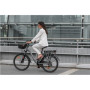 Lancia Incanto, City E-Bike, Motor power 250 W, Wheel size 26 , Warranty 24 month(s), Silver