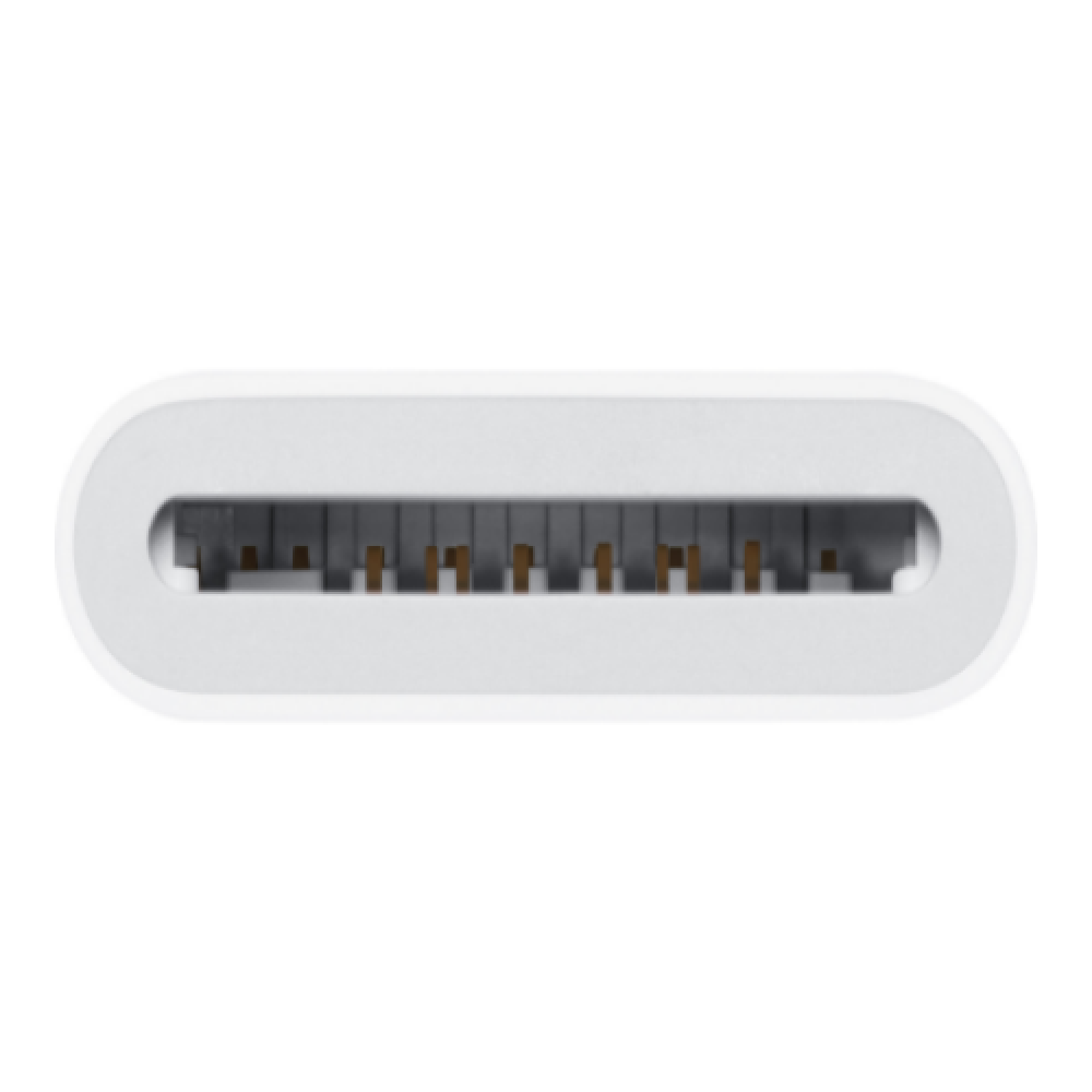 Apple USB-C to SD Card Reader