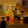 Twinkly,Matrix Smart LED Lights 480, 1x1m,RGB Multicolor