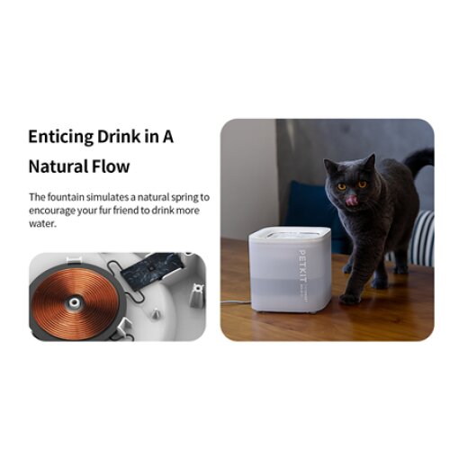 PETKIT , Smart Pet Drinking Fountain , Eversweet Solo , Capacity 1.8 L , Filtering , Material Plastic , White