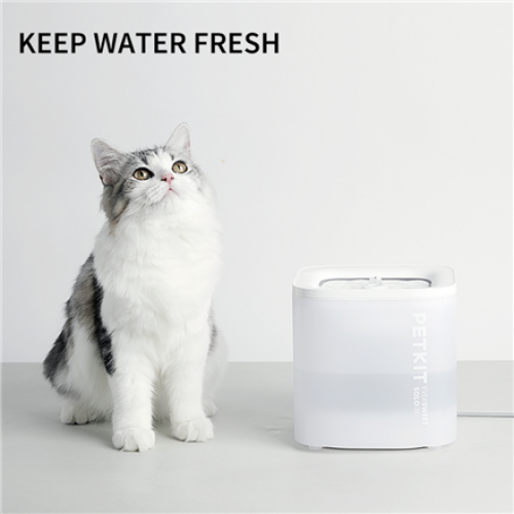 PETKIT , Smart Pet Drinking Fountain , Eversweet Solo , Capacity 1.8 L , Filtering , Material Plastic , White