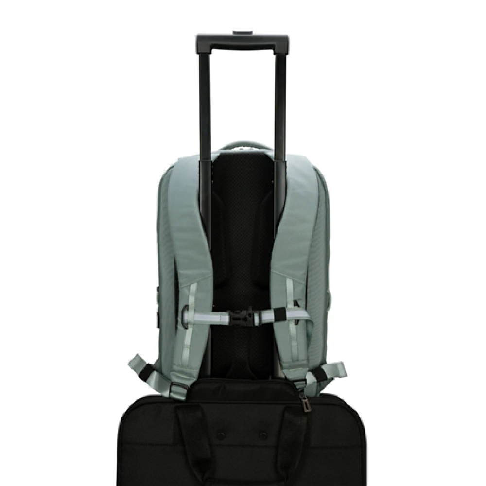 Targus Work+ Play Flex , Fits up to size 15-16 , Backpack , Green