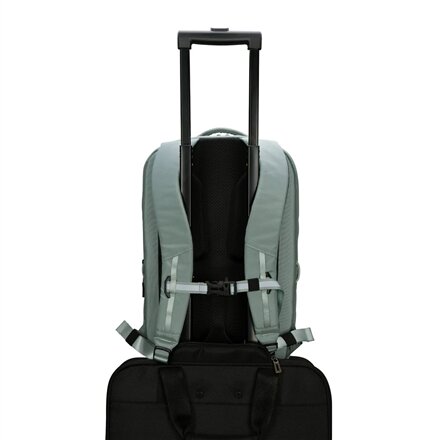 Targus , Work+ Play Flex , Fits up to size 15-16 , Backpack , Green