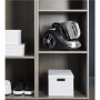 TEFAL , TW4B36 Compact Power XXL , Vacuum cleaner , Bagless , Power 900 W , Dust capacity 2.5 L , Grey