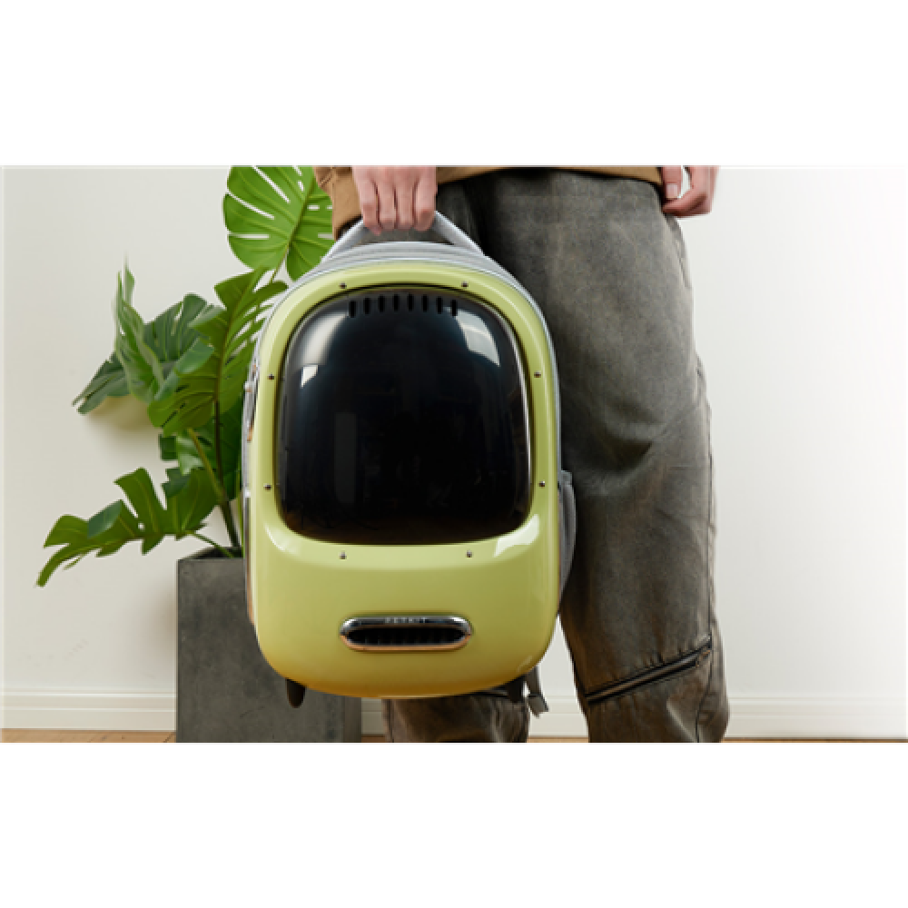 PETKIT , Pet Carrier , Breezy2 , Green