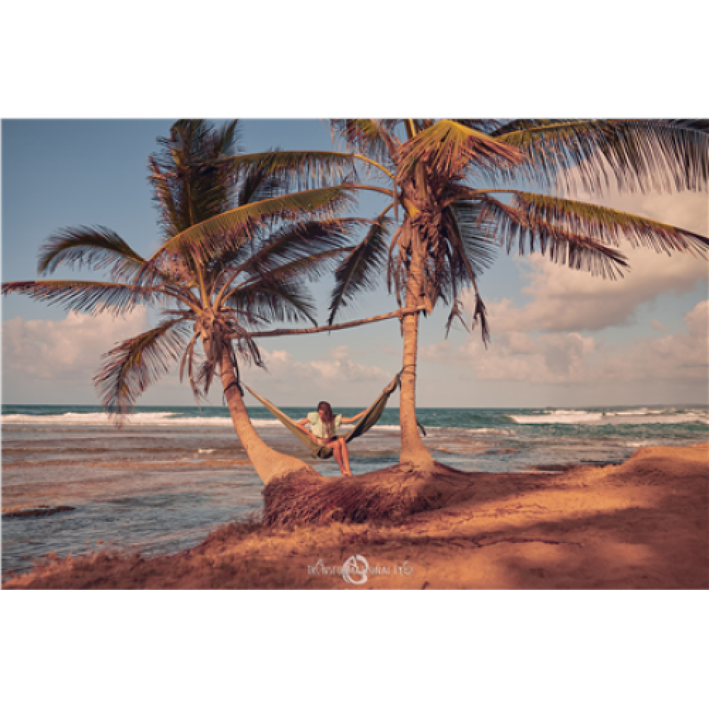 Ticket To The Moon Original Hammock Hammock, 320 x 200 cm, 200 kg