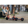Segway Ninebot eKickscooter D28E, Black/Red