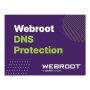 Webroot , DNS Protection with GSM Console , 1 year(s) , License quantity 1-9 user(s)