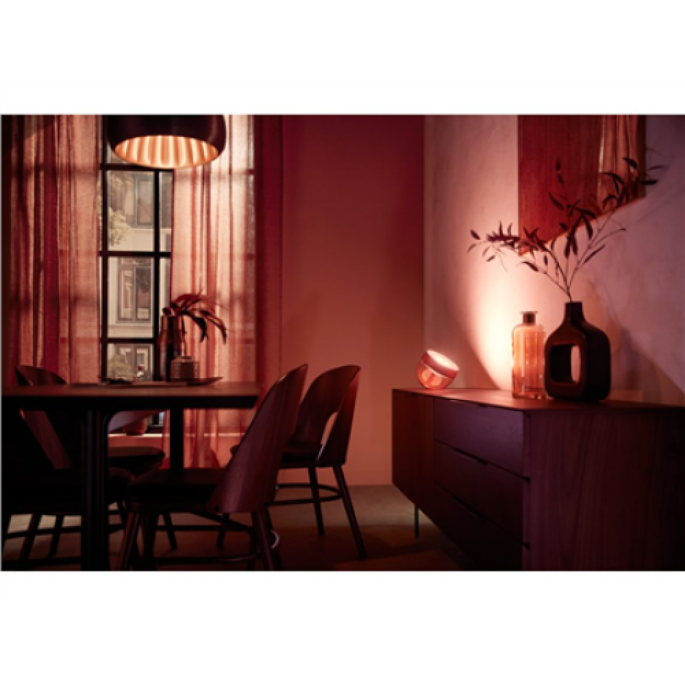 Philips Hue,Hue Iris Portable Lamp, Copper Special Edition,Copper/brass,Portable lamp