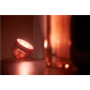 Philips Hue,Hue Iris Portable Lamp, Copper Special Edition,Copper/brass,Portable lamp