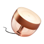 Philips Hue,Hue Iris Portable Lamp, Copper Special Edition,Copper/brass,Portable lamp