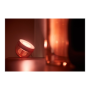 Philips Hue,Hue Iris Portable Lamp, Copper Special Edition,Copper/brass,Portable lamp