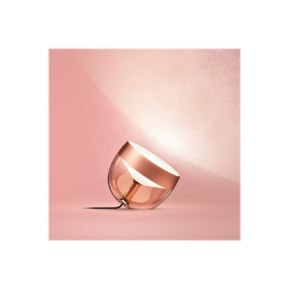 Philips Hue,Hue Iris Portable Lamp, Copper Special Edition,Copper/brass,Portable lamp