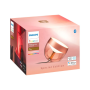 Philips Hue,Hue Iris Portable Lamp, Copper Special Edition,Copper/brass,Portable lamp