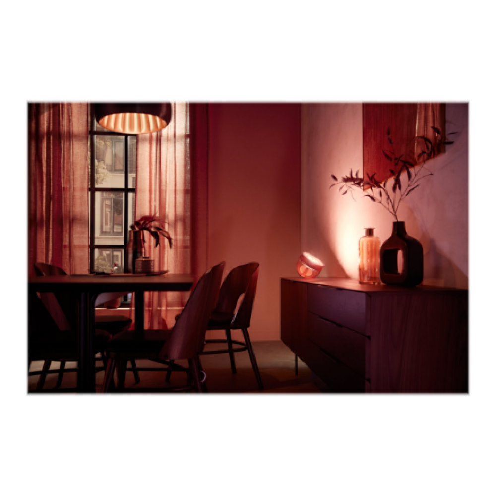 Philips Hue,Hue Iris Portable Lamp, Copper Special Edition,Copper/brass,Portable lamp