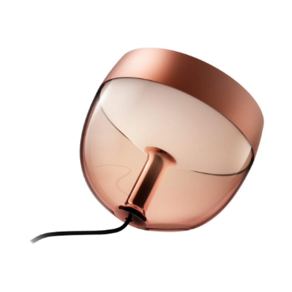 Philips Hue,Hue Iris Portable Lamp, Copper Special Edition,Copper/brass,Portable lamp