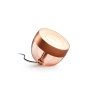Philips Hue,Hue Iris Portable Lamp, Copper Special Edition,Copper/brass,Portable lamp