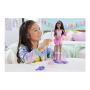 Mattel , Barbie Career Doll - Pop Star, HRG43