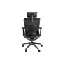Genesis Ergonomic Chair Astat 200 Base material Nylon; Castors material: Nylon with CareGlide coating , Black