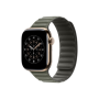 Apple 42mm Sage Gray Magnetic Link - S/M , Apple