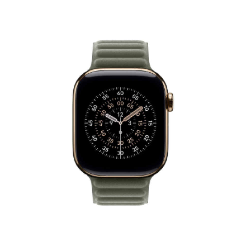 Apple 42mm Sage Gray Magnetic Link - S/M , Apple