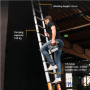 Batavia B.V. Giraffe AIR Telescopic Ladder 3.81 m