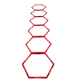 Pure2Improve , Hexagon Agility Grid , Red