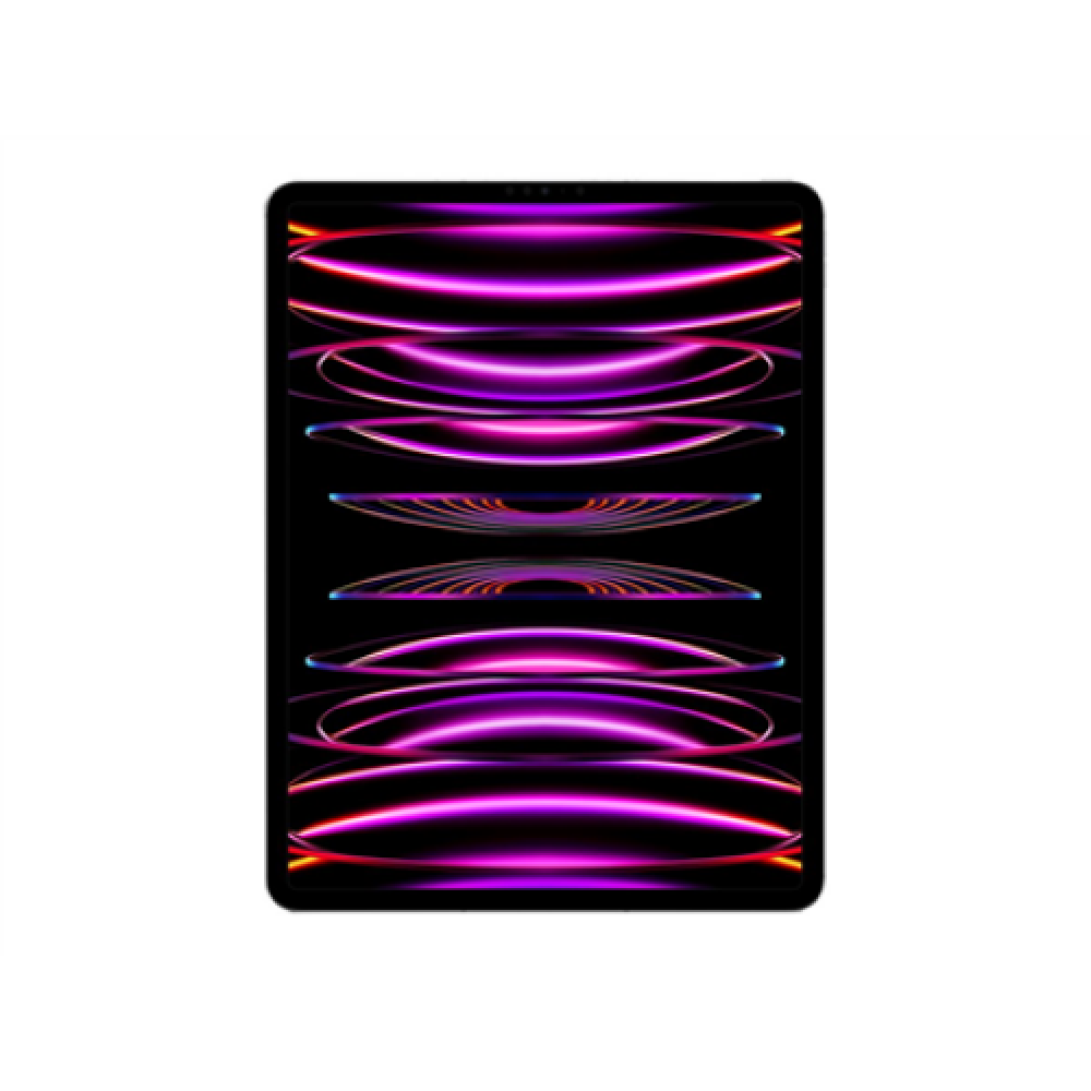 iPad Pro 12.9 Wi-Fi + Cellular 128GB - Space Gray 6th Gen , Apple