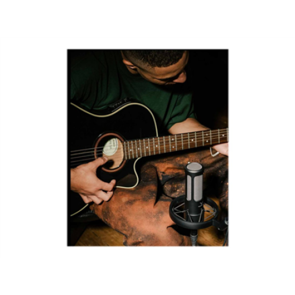 Beyerdynamic , True Condenser Microphone , M 90 PRO X , Black , Wired , 296 kg