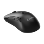 Gembird Dual-mode mouse , MUSW2-7B-01 , Wireless , 2.4G, Bluetooth , Black