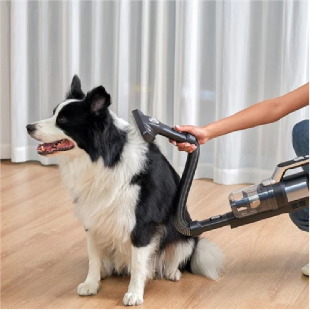 Jimmy , Pet Brush/Flexible Hose for PW11 and HW11 series