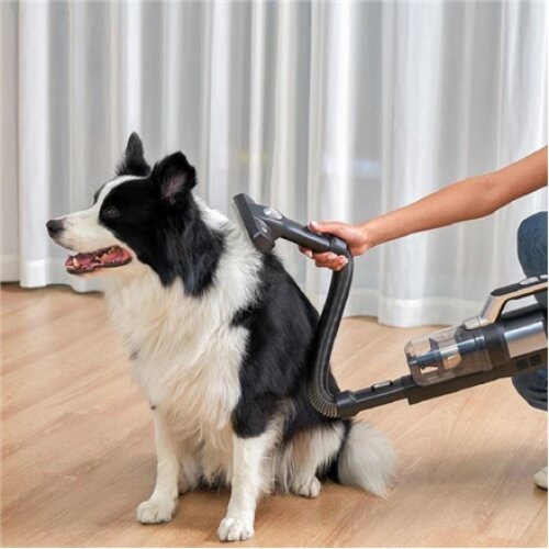 Jimmy , Pet Brush/Flexible Hose for PW11 and HW11 series