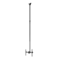 Neomounts CL35-440BL16XL Monitor/TV Mount Ceiling , Adjustable Height, Rotate, Tilt, Swivel , 37-70 , Maximum weight (capacity) 50 kg , Black