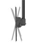 Neomounts CL35-440BL16XL Monitor/TV Mount Ceiling , Adjustable Height, Rotate, Tilt, Swivel , 37-70 , Maximum weight (capacity) 50 kg , Black