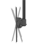 Neomounts CL35-440BL16XL Monitor/TV Mount Ceiling , Adjustable Height, Rotate, Tilt, Swivel , 37-70 , Maximum weight (capacity) 50 kg , Black