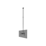 Neomounts CL35-440BL16XL Monitor/TV Mount Ceiling , Adjustable Height, Rotate, Tilt, Swivel , 37-70 , Maximum weight (capacity) 50 kg , Black