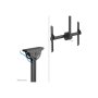 Neomounts CL35-440BL16XL Monitor/TV Mount Ceiling , Adjustable Height, Rotate, Tilt, Swivel , 37-70 , Maximum weight (capacity) 50 kg , Black