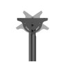 Neomounts CL35-440BL16XL Monitor/TV Mount Ceiling , Adjustable Height, Rotate, Tilt, Swivel , 37-70 , Maximum weight (capacity) 50 kg , Black