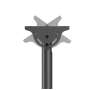 Neomounts CL35-440BL16XL Monitor/TV Mount Ceiling , Adjustable Height, Rotate, Tilt, Swivel , 37-70 , Maximum weight (capacity) 50 kg , Black