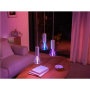 Philips Hue WCA Lightguide Triangle , E27 , 6.8 W , White and colour light
