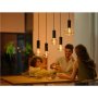 Philips Hue WCA Lightguide Triangle , E27 , 6.8 W , White and colour light