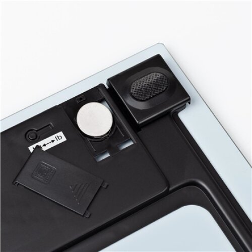 Tristar , Personal scale , WG-2431 , Maximum weight (capacity) 150 kg , Accuracy 100 g , Blue