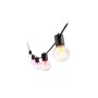 Philips Hue Festavia Globe Outdoor String Lights, 7m Extension , 30 W , Bluetooth, Zigbee